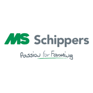 MS S Logo
